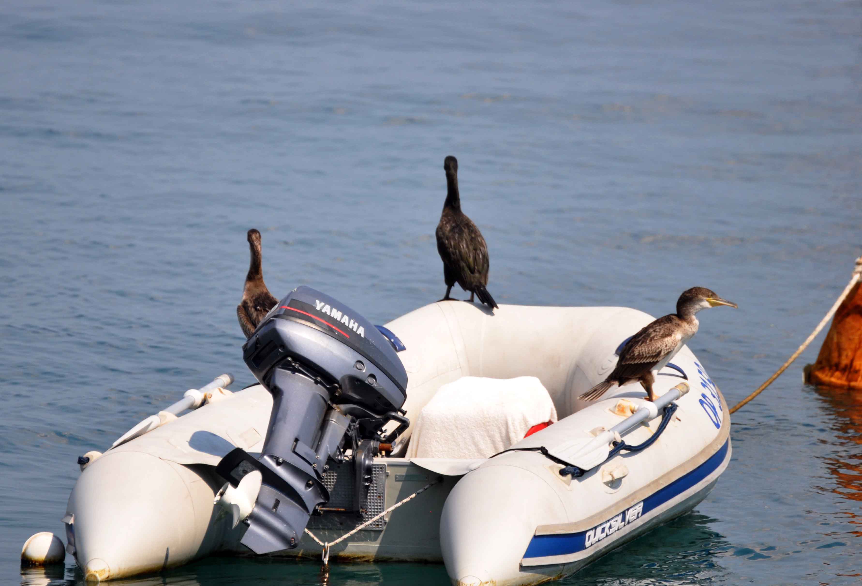 opatija 08 i 09 08 2015 97